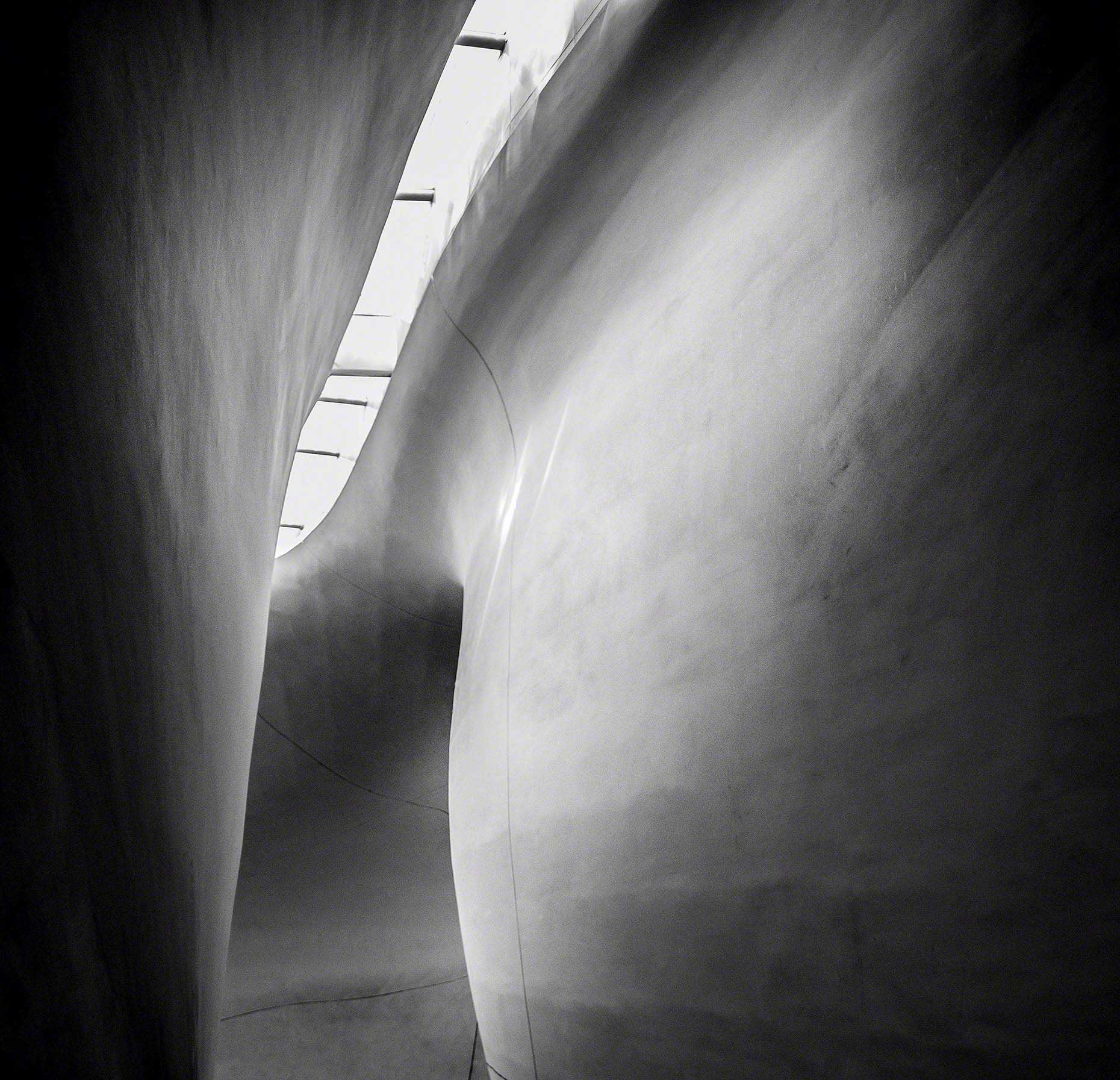 Terry Wier Photography