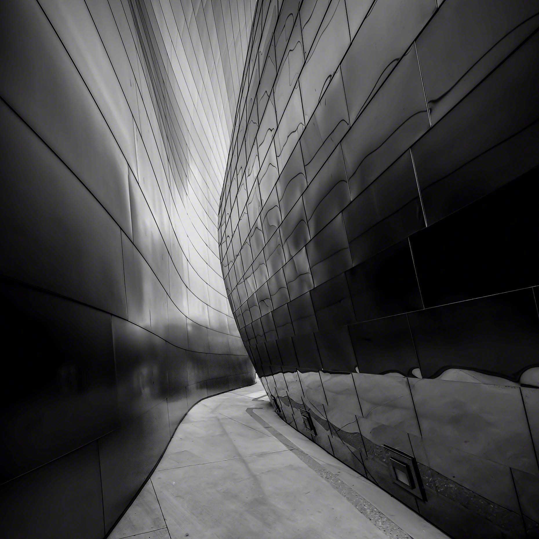 Terry Wier Photography